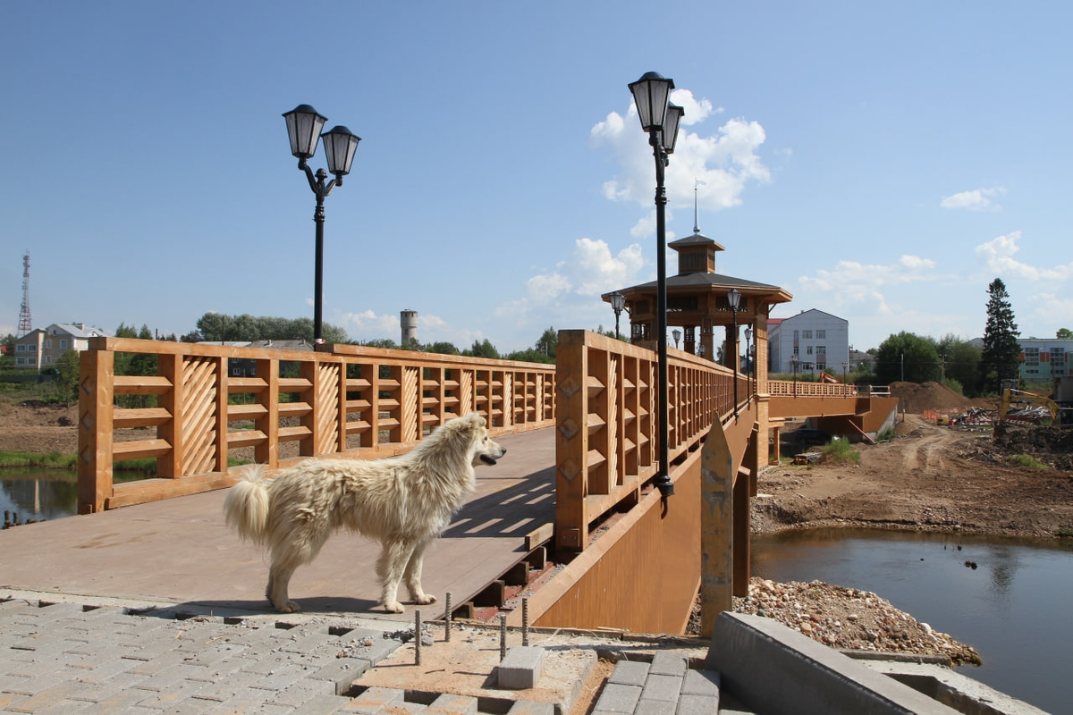    Фото: Заксобрание Вологодской области, источник: vologdazso.ru