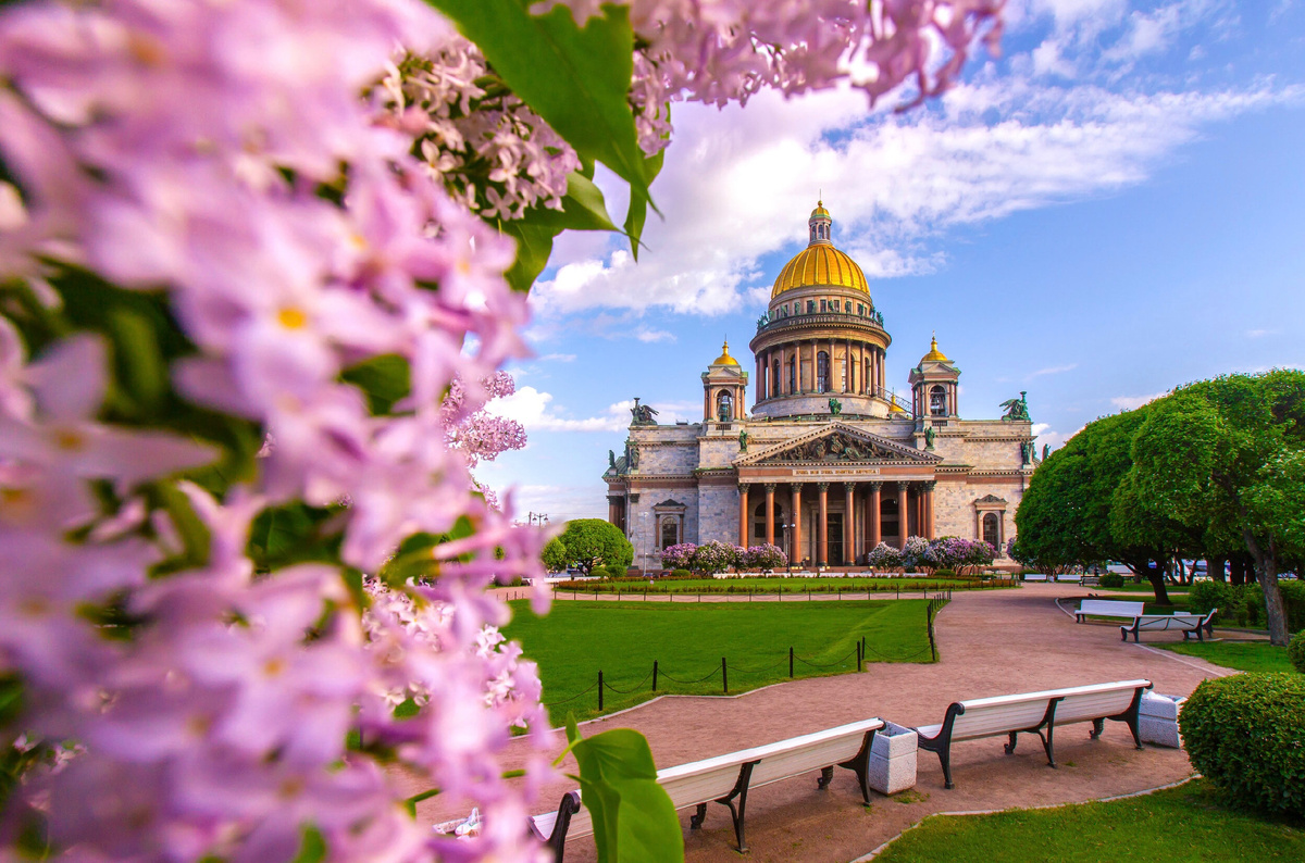 Фото из свободных источников сети Интернет