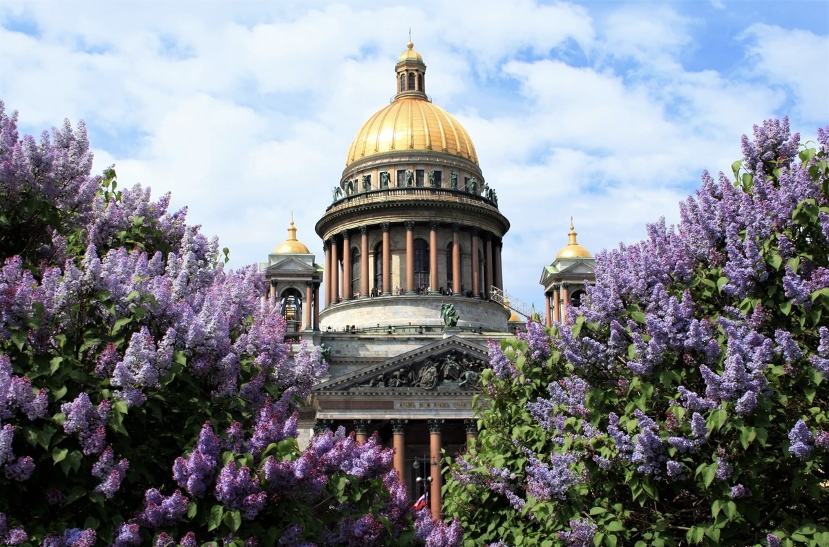 Фото из свободных источников сети Интернет