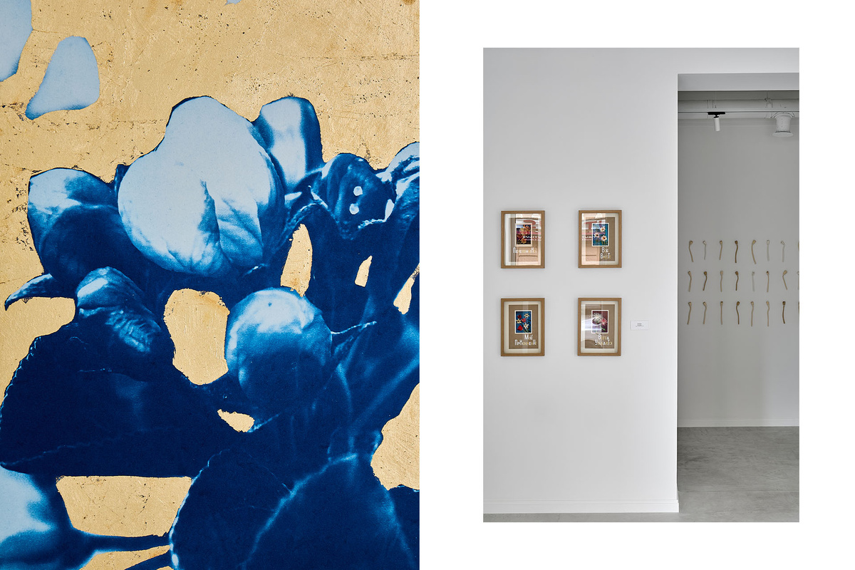    Экспозиция выставки «Нам хватит языка цветов»