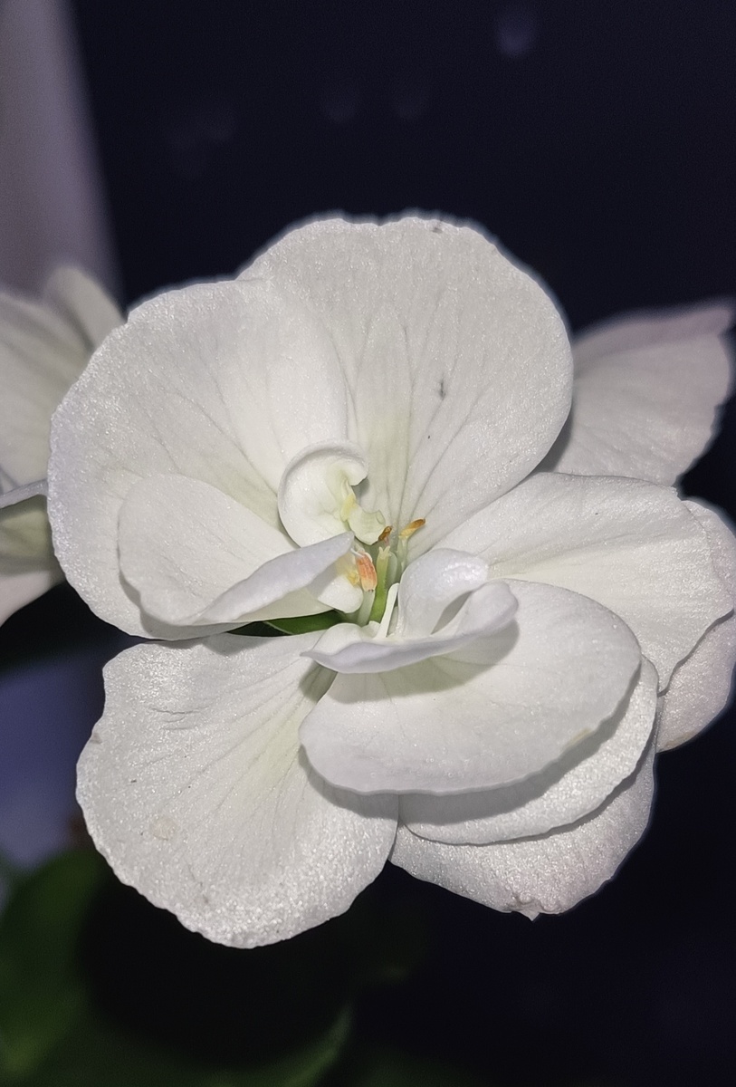 Фото из личного архива автора канала Во благо ❤️ 