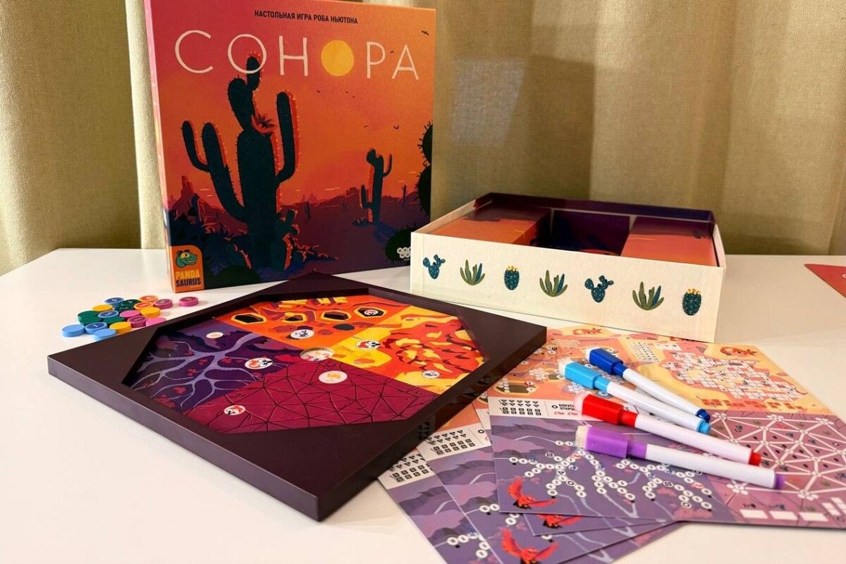 Красочная игра «Сонора». Источник: личный архив Лилии Исхаковой📷
