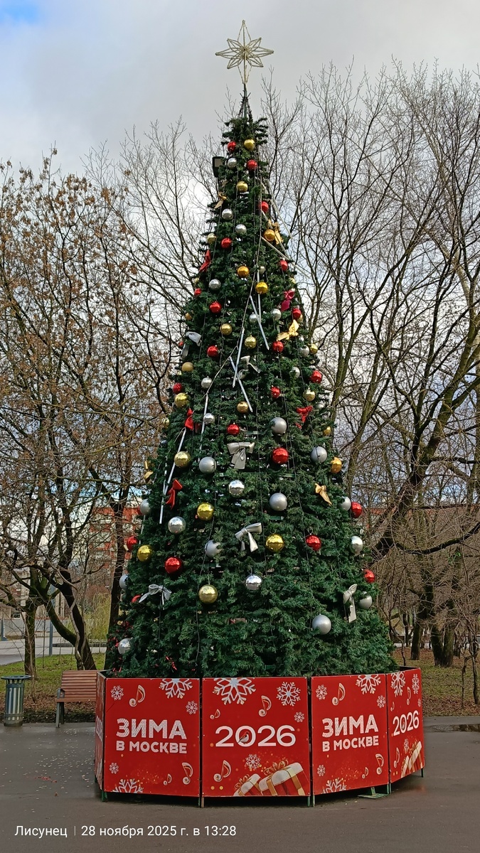 Зимы пока нет в Москве. Личное фото.