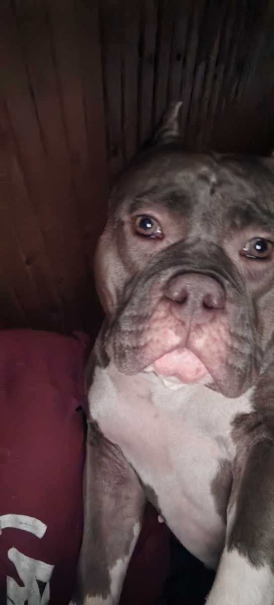 Лицо понедельника. Сегодня 1й день зимы и он был таким👍