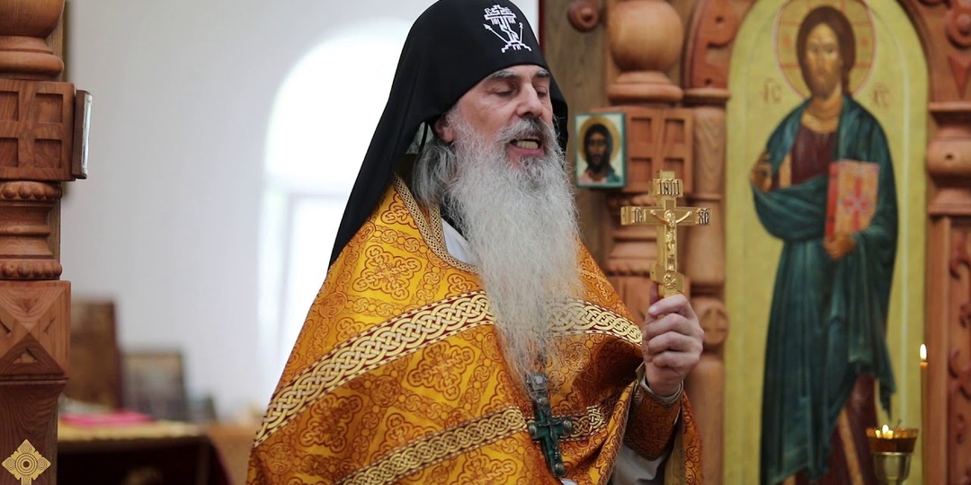 «Откуда в ребёнке такая злоба?» О бесновании детей и духовной передаче греха. Схиигумен Гавриил (Игумен N).