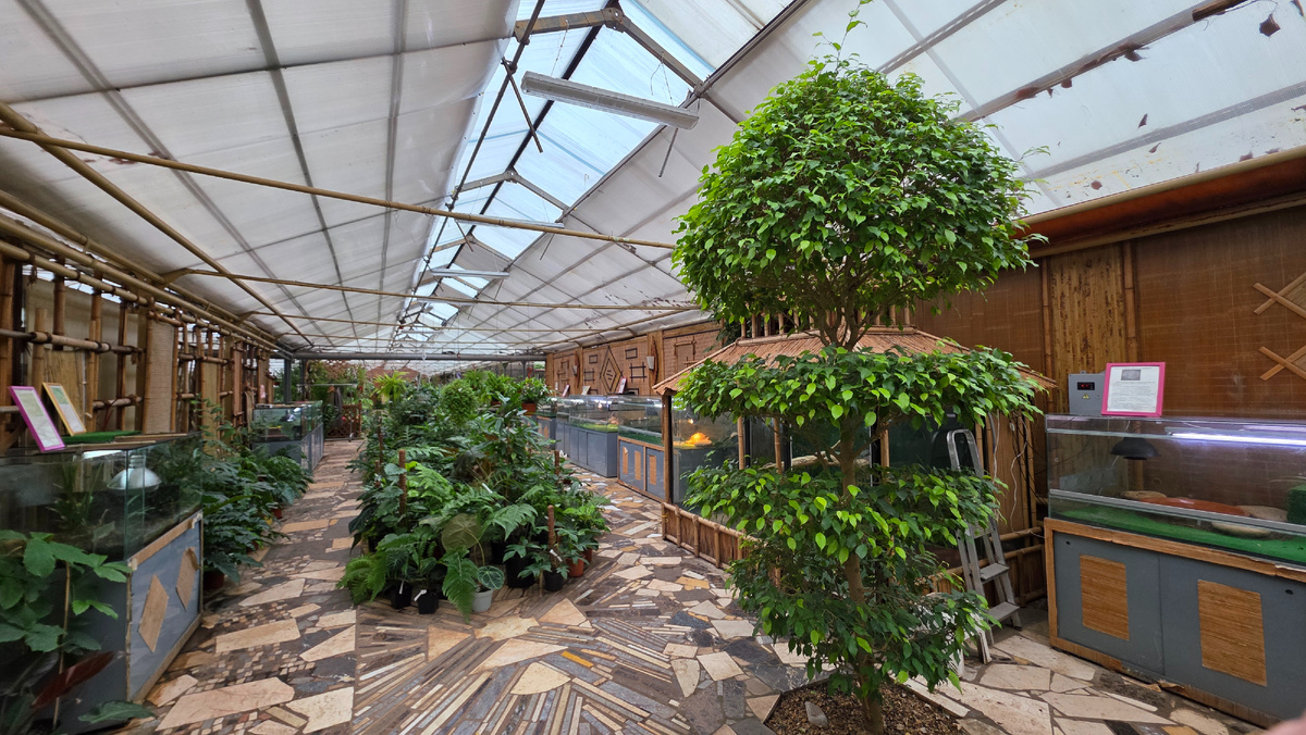 садовый центр "Красная Нива", г. Долгопрудный, ул. Виноградная, д.17