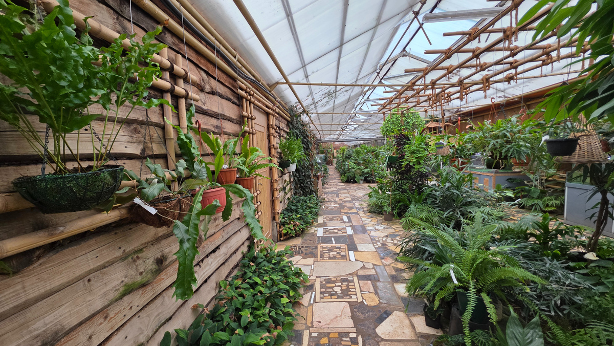 садовый центр "Красная Нива", г. Долгопрудный, ул. Виноградная, д.17