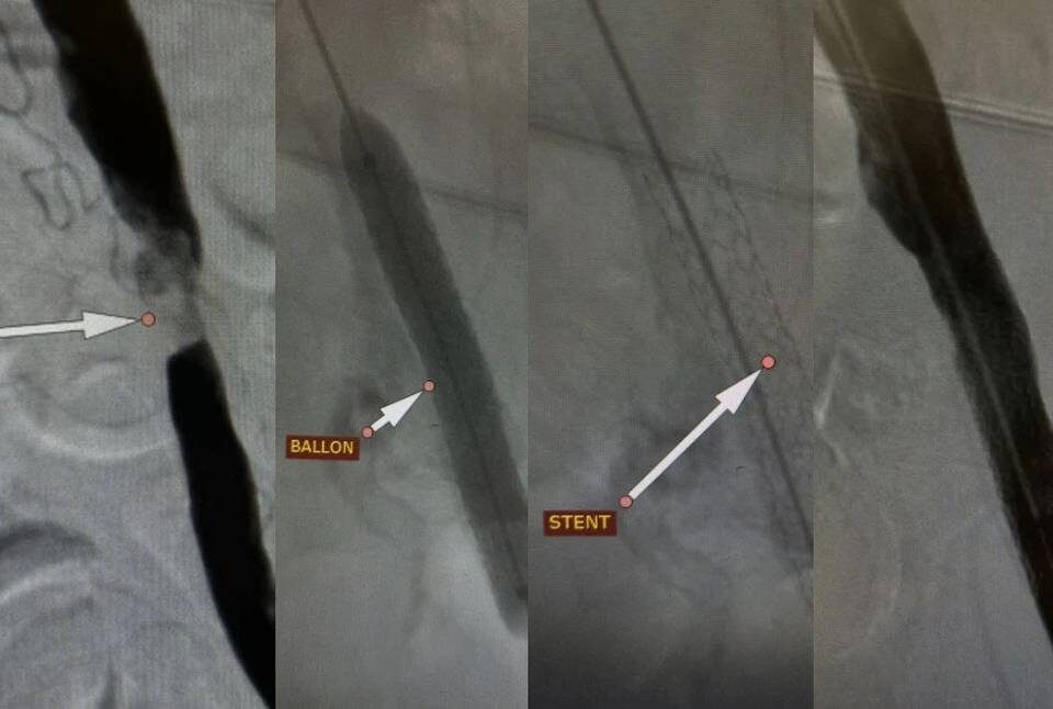    Фото: Комитет здравоохранения Волгоградской области