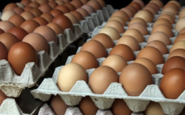    Фото: Минсельхоз Липецкой области