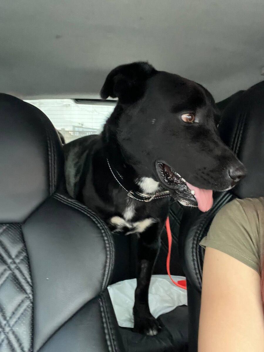 За что ж так??