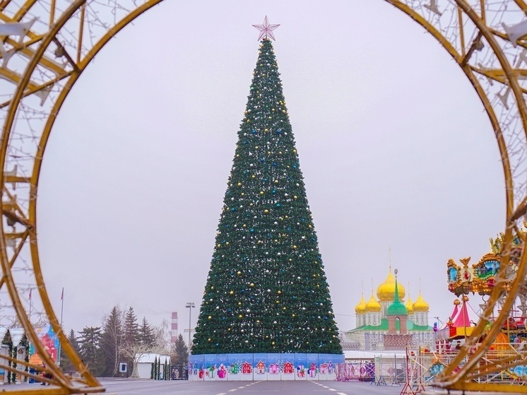     Фото: Светлана Мулыкина