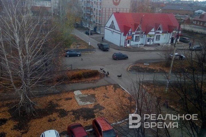   Реальное время / realnoevremya.ru