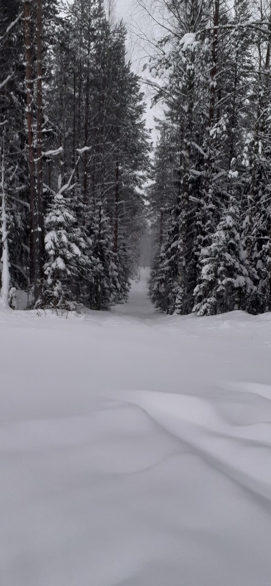 А так хорошо всё начиналось...