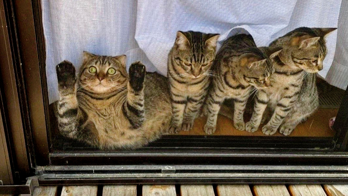 Легкая придурковатость не мешает быть хорошей матерью 