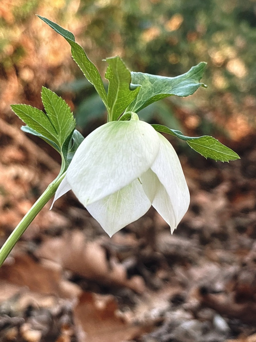    Фото: Наталья Елагина