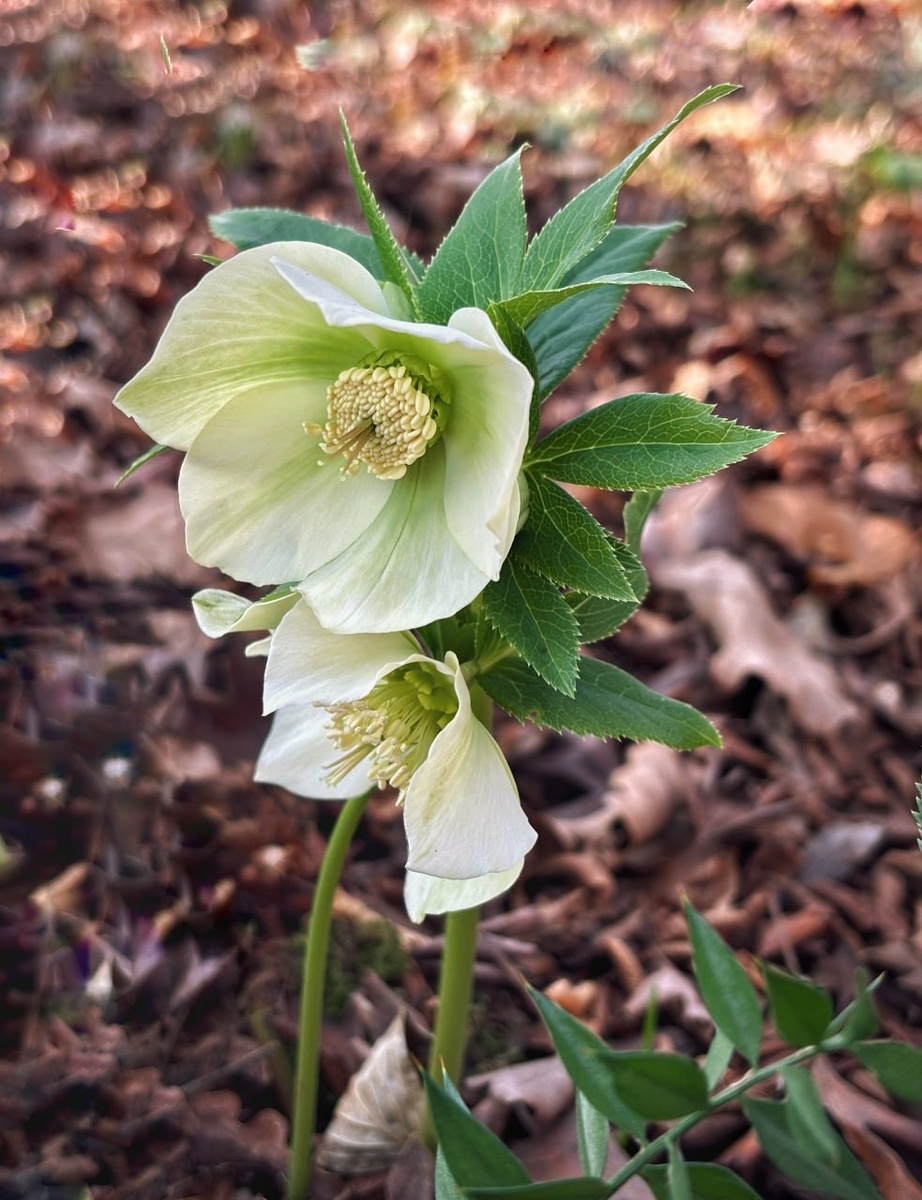    Фото: Наталья Елагина