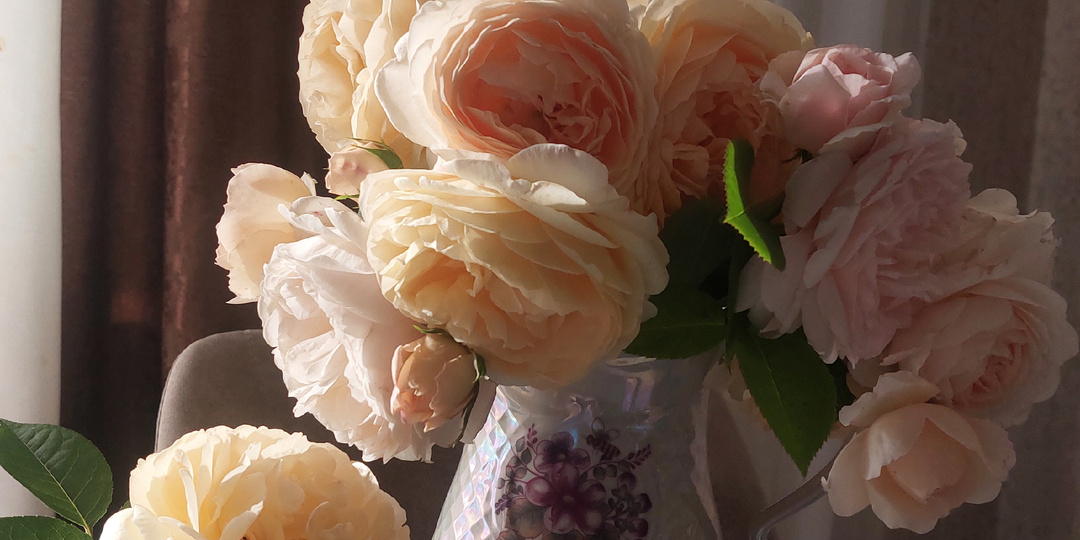 Опрос, как поступить с Парадом букетов роз 2025 года