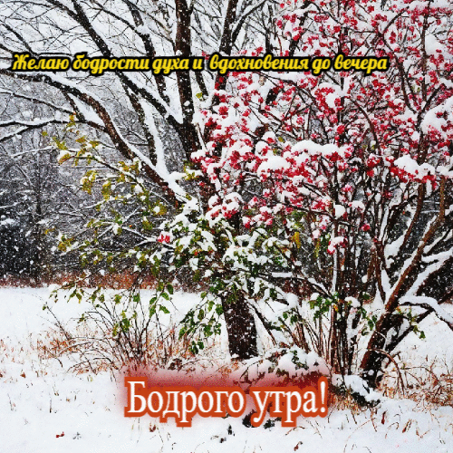 Желаю бодрости духа и вдохновения