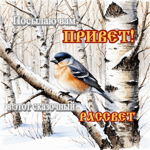 Посылаю вам привет