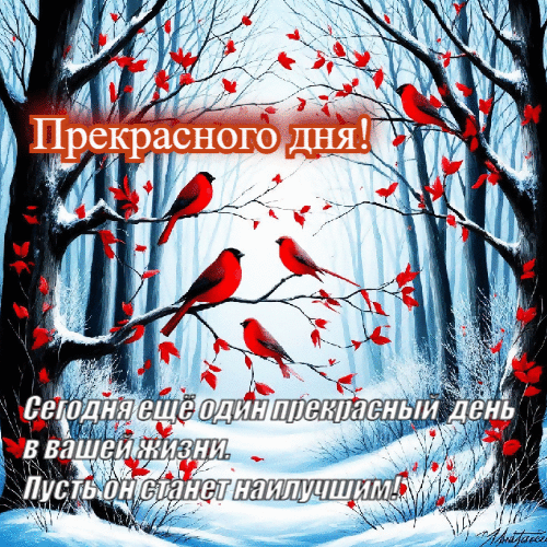 Сегодня еще один прекрасный день