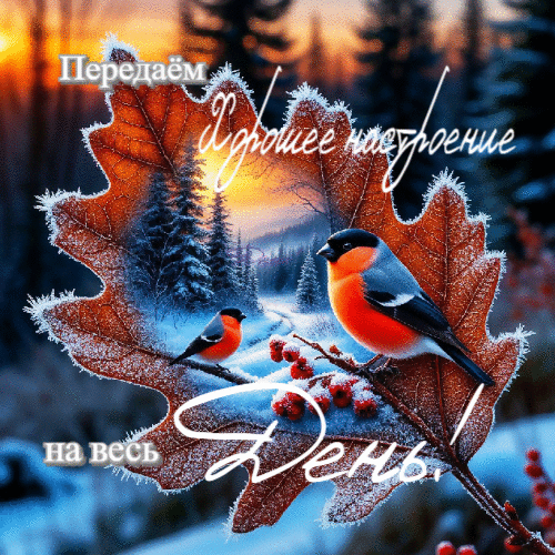 Хорошее настроение на весь день