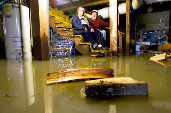 Заставка к теме. Затопленный подвал, как видим, тут не только сыросить и плесень, но и тонны воды