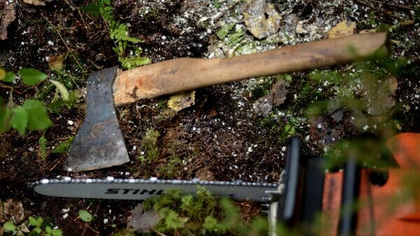    © Sputnik / Константин Чалабов