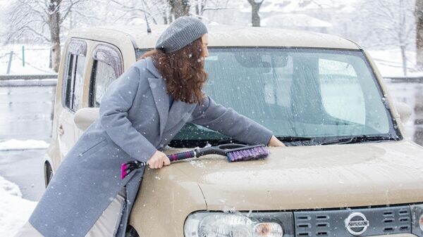    © Sputnik / Михаил Авагимов