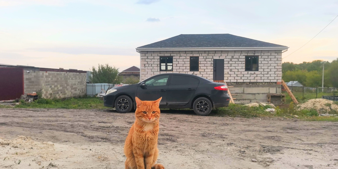 Коротенькая история про счастье