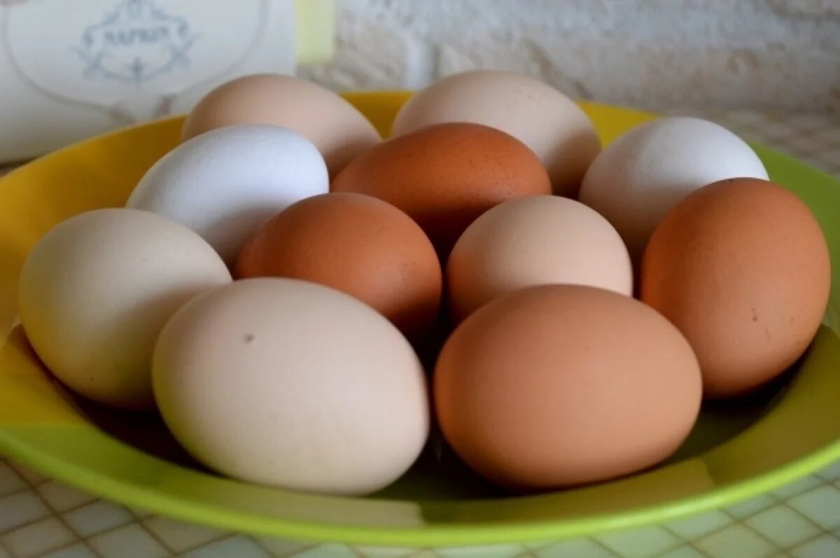    Волгоградские куры оказались самыми плодовитыми в ЮФО