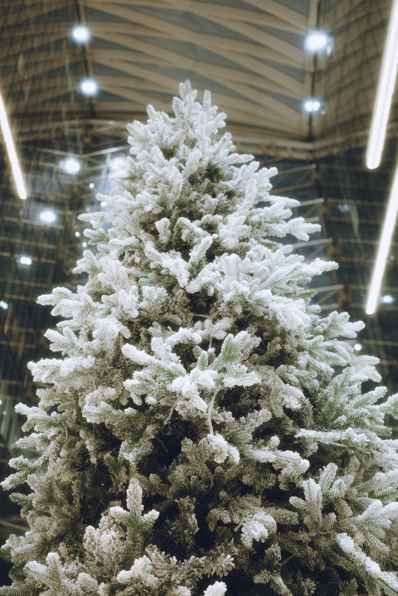 Фото: Марина Сивакова