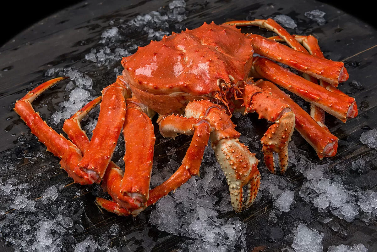 (источник: oyster-cheese24.ru)