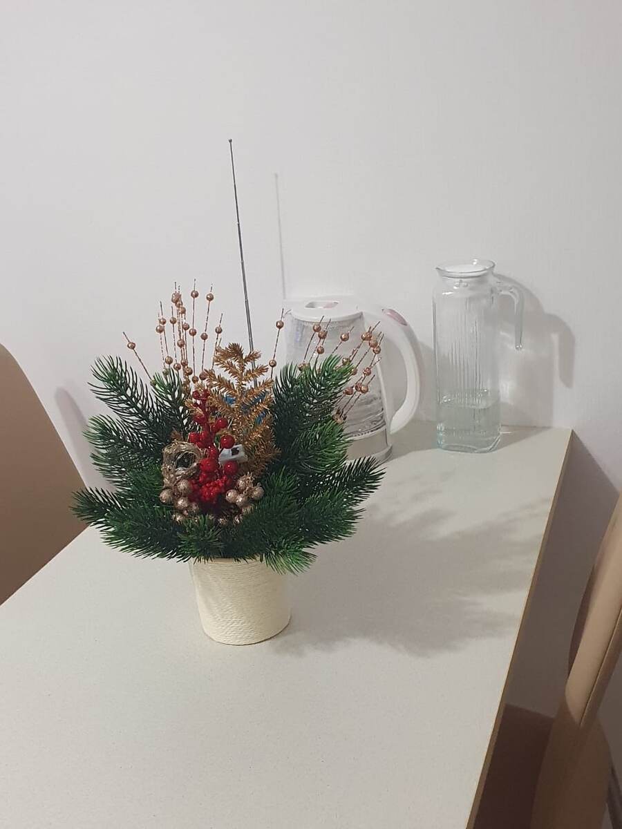 Даже ёлочка своя есть 🌲