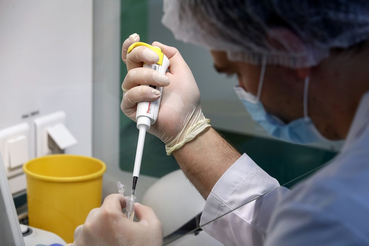     / Источник: © Сергей Бобылев/ТАСС