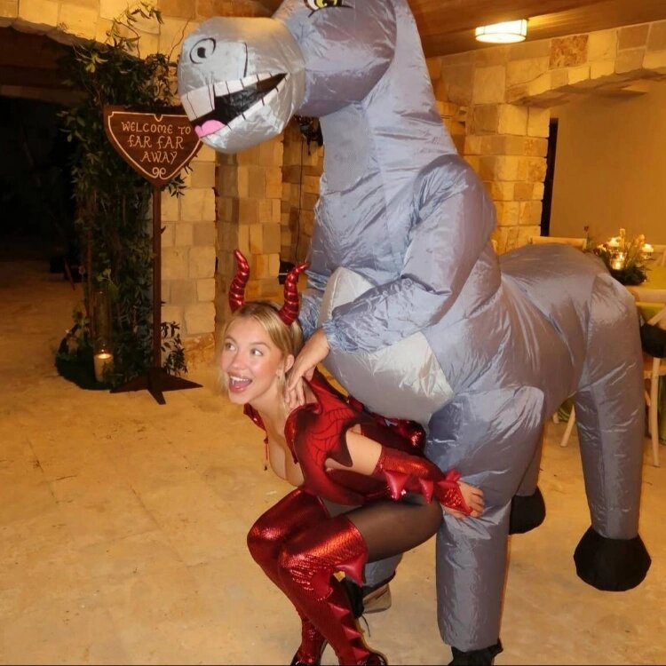 ФОТО: Instagram Сидни Суини (запрещенная в России соцсеть; принадлежит компании Meta, признанной экстремистской организацией и запрещенной в РФ)📷
