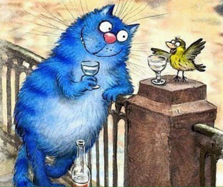 очаровательные коты Рины Зенюк