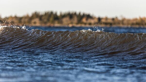    CC0 / Carl Tronders /