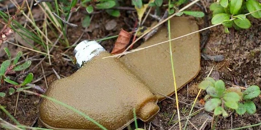 Подлая мина «Лепесток»: что делать при обнаружении и чем она опасна? Советы (пошаговая инструкция)