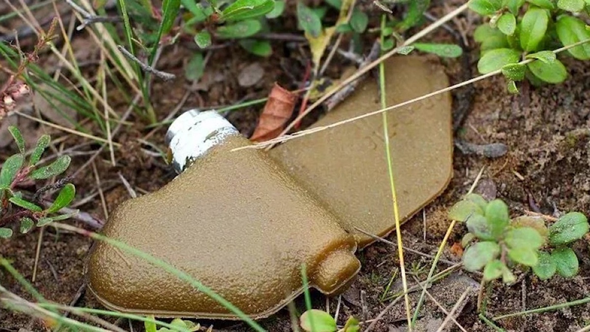 На фотографии: противопехотная фугасная мина «Лепесток» (ПФМ-1) – незаметная опасная коварная и подлая мина. Источник фото: https://mirbelogorya.ru/images/mina.jpg