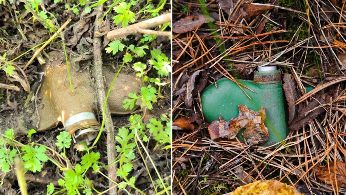 На фотографии: фугасная мина «Лепесток» заросла травой, покрылась грязью, опавшей листвой или хвоей и стала практически невидимой. ПФМ-1 незаметно лежит и ждет свой час.