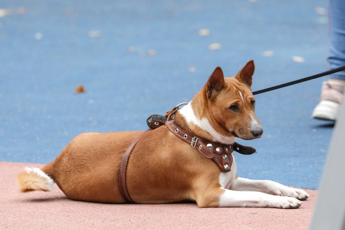    Фото: Софья Сандурская / АГН Москва