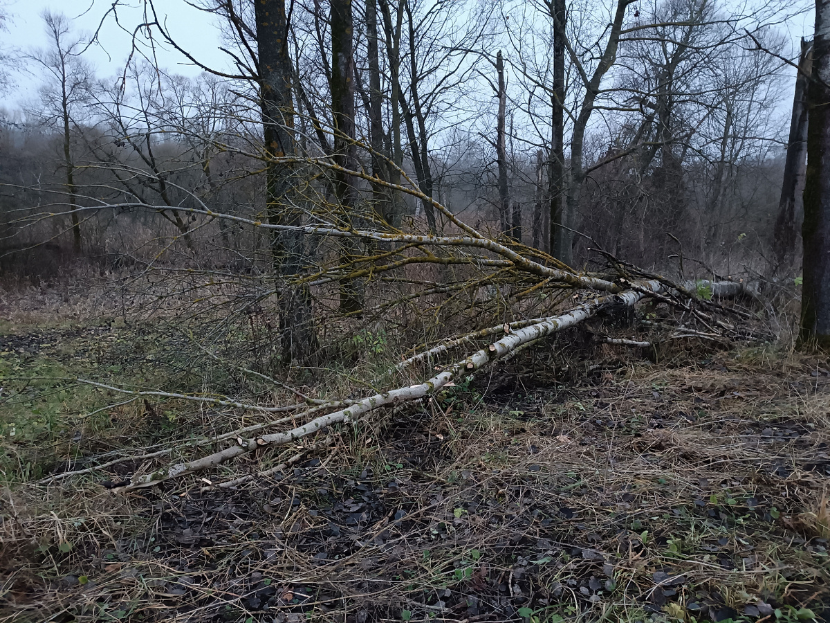 Справа обрублено, слева ещë нет