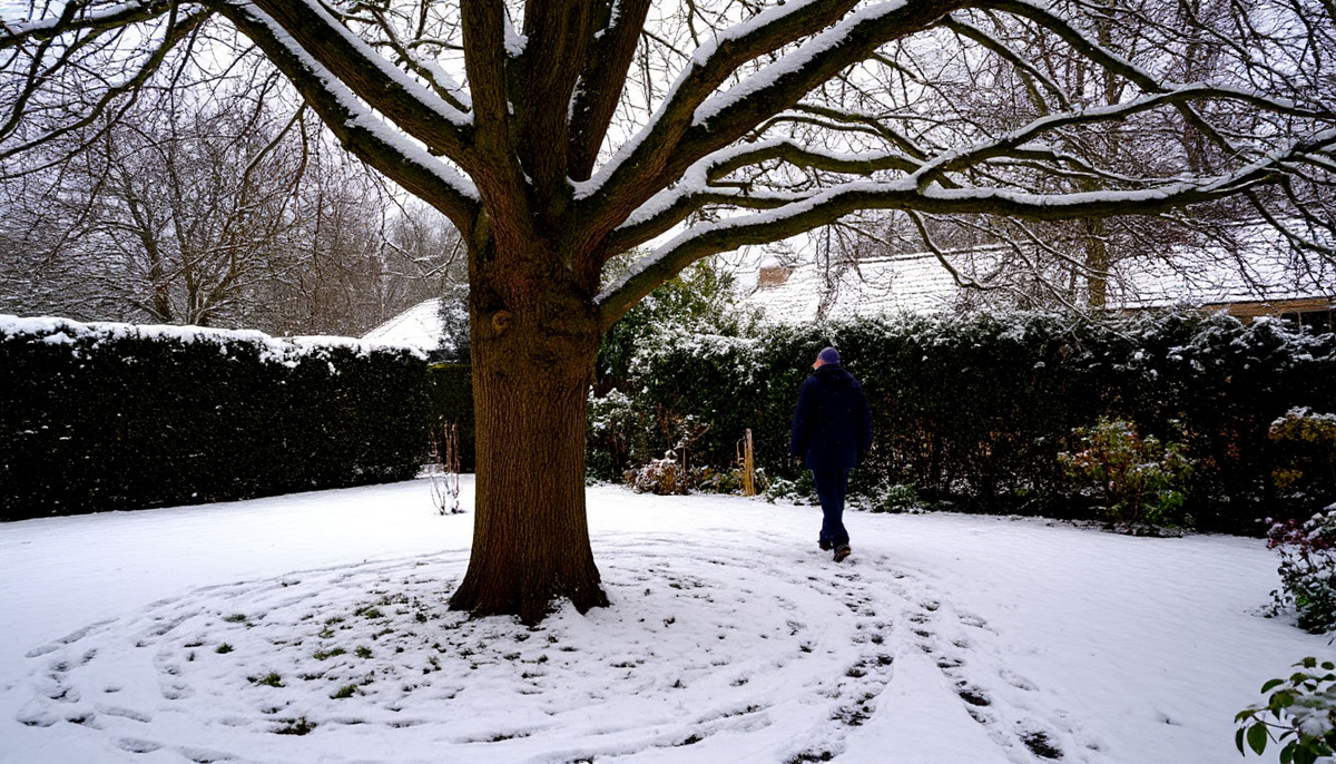 Утаптывание снега
