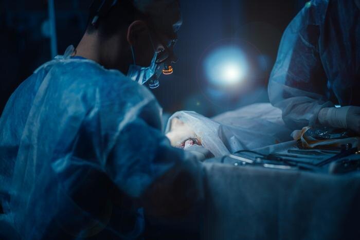 Обложка © Shutterstock / FOTODOM / Velimir Zeland