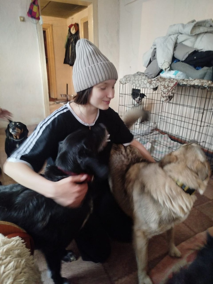 Ур-р-ра!  Гости приехали!