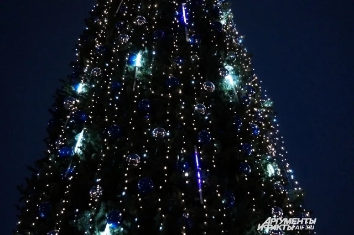    В Перми зажгли первую городскую новогоднюю ёлку