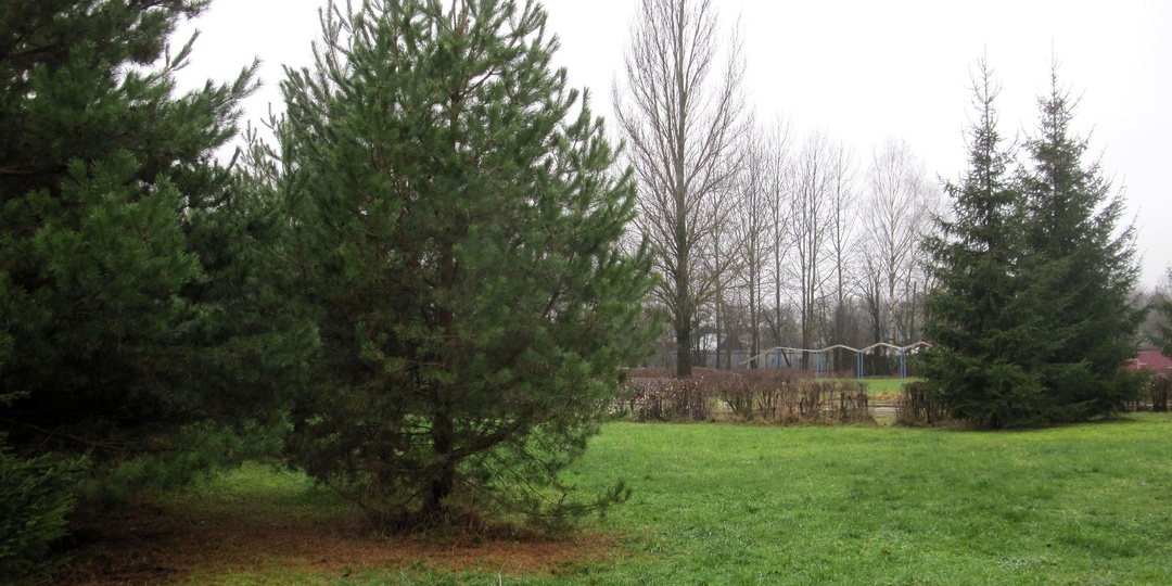 1 декабря 2025 года в городе Вязники