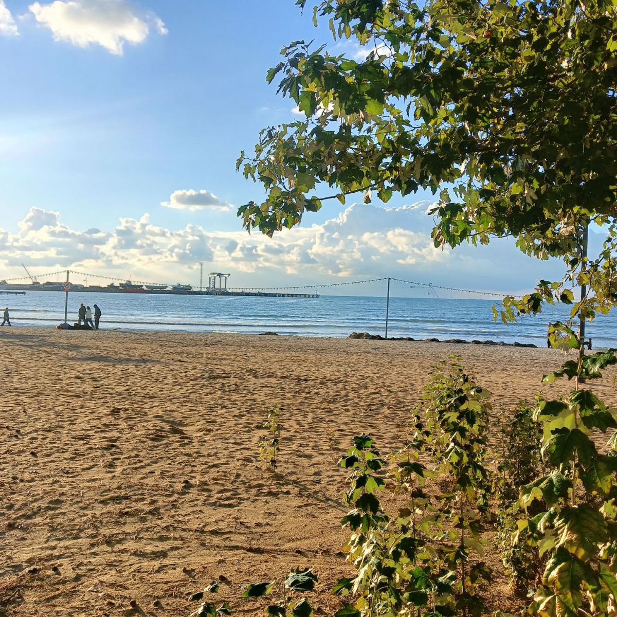 Это 30 ноября Анапа