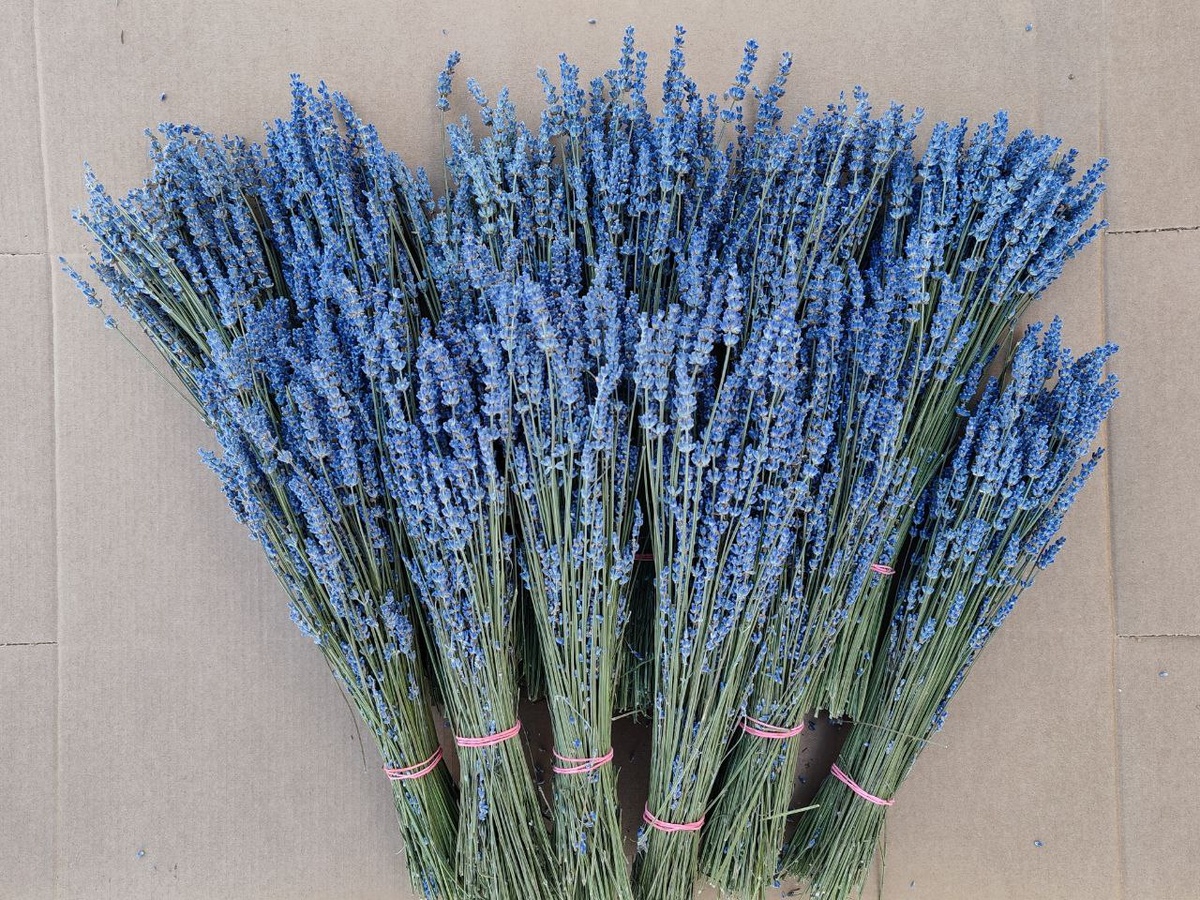 Коробка флористической лаванды длиной 45-48 см флористу в подарок!