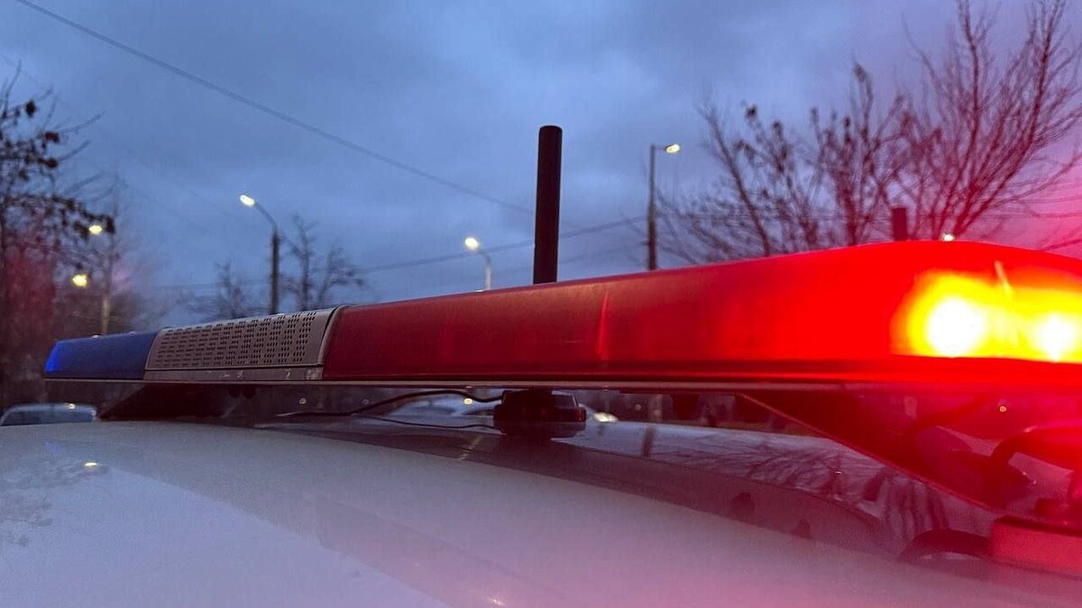    Фото: телеканал «Краснодар»